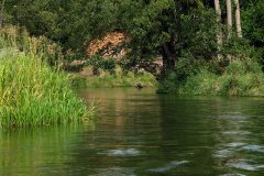 Rzeka Brda Rytel 2019 - sprzątanie